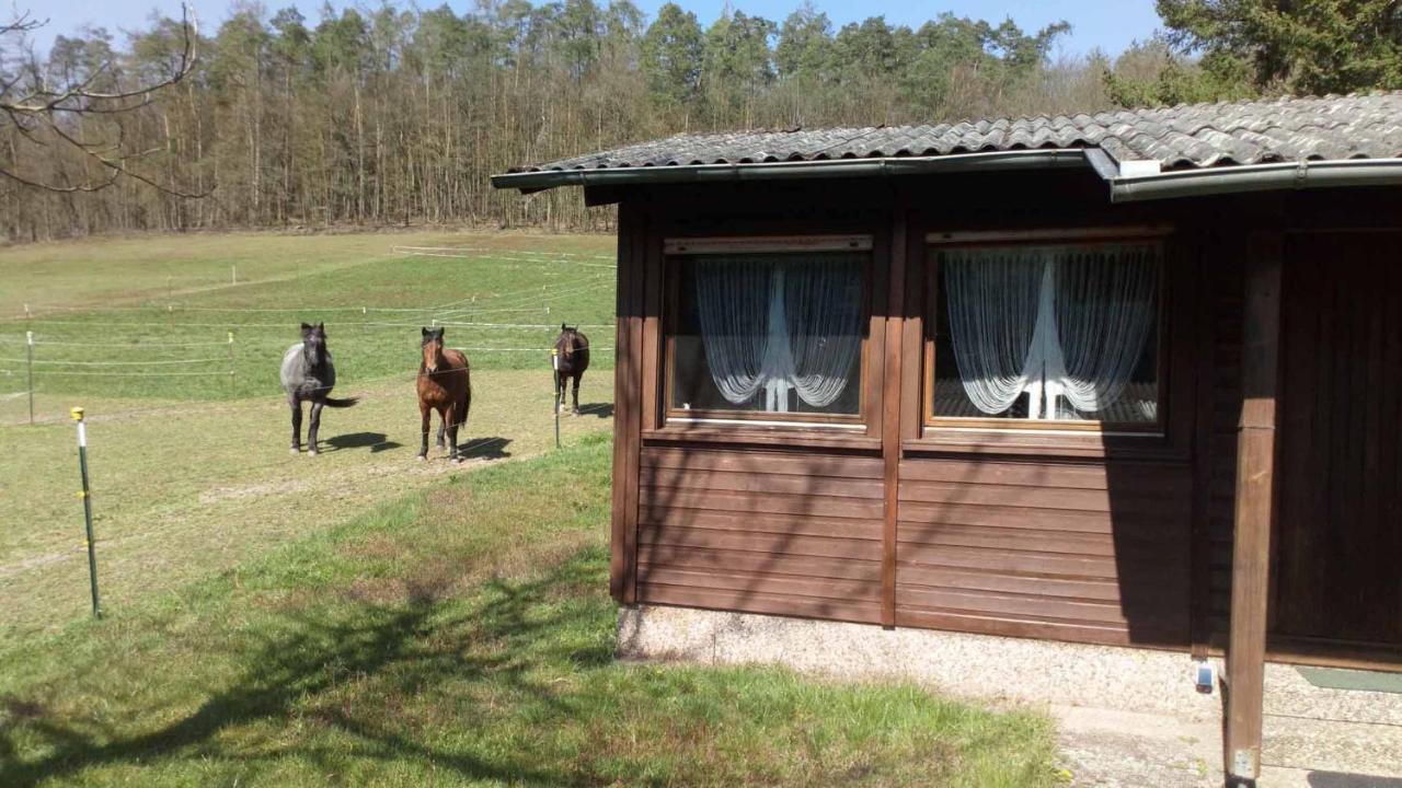 Apartamento Reitstation Roßmühle Gräfendorf Exterior foto
